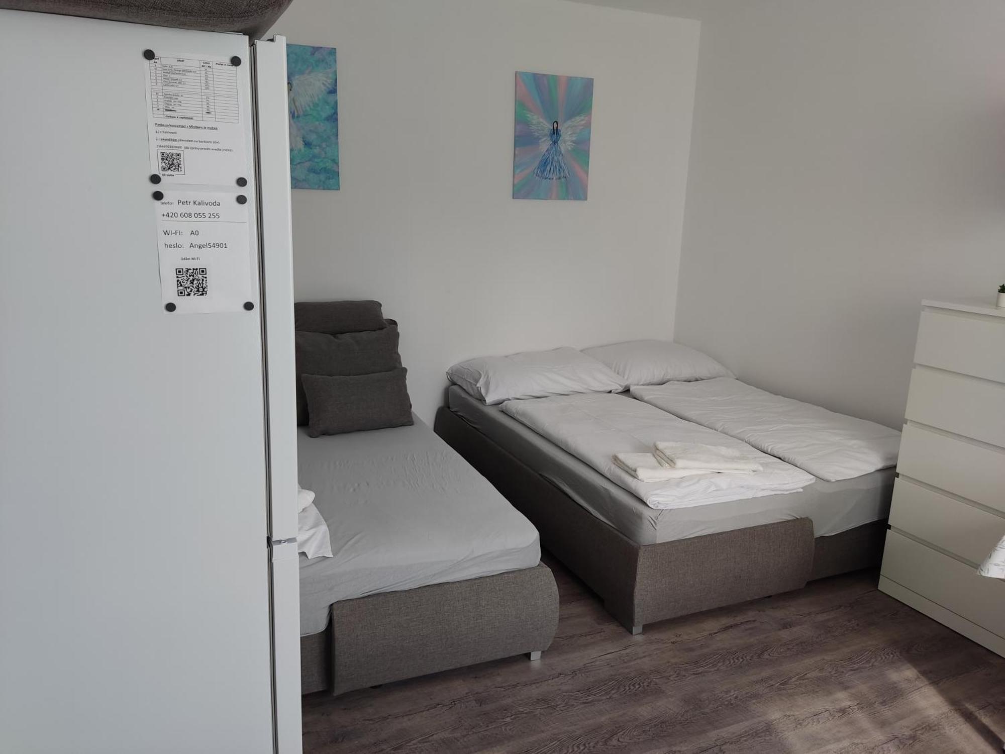 Apartment Angel Nove Mesto nad Metuji